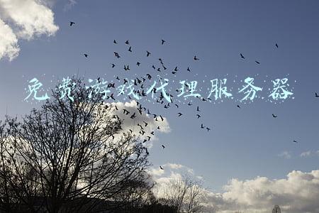 免费游戏代理平台有哪些(手游游戏代理平台哪个好？)