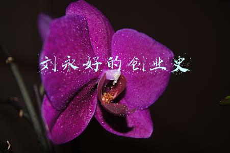 刘永好的创业史