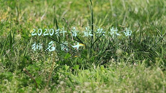 2021抖音最热歌曲排名前十(2021抖音 最火的歌曲大全)