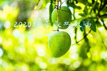 2020抖音最热歌曲排名前十