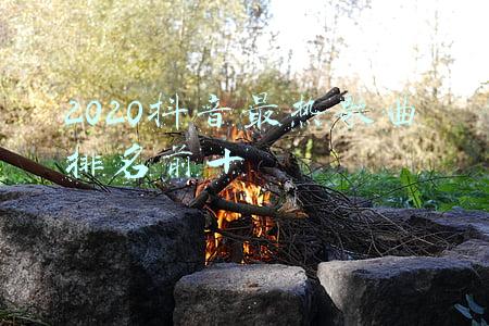 2020抖音最热歌曲排名前十