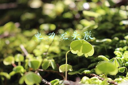 2022年电力龙头股(A股：2022年有翻倍潜力龙头股一览（附名单）)