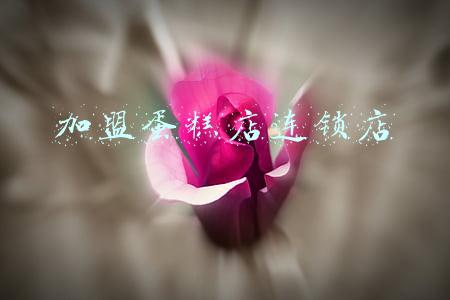 加盟蛋糕店连锁店品牌多少钱(蛋糕烘焙加盟店值得开吗？)