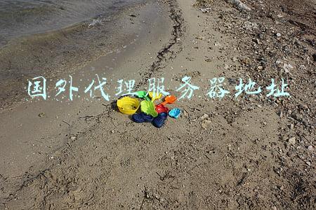 国外代理服务器地址