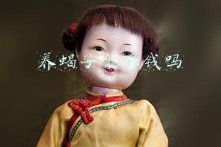 养蝎子能赚钱吗