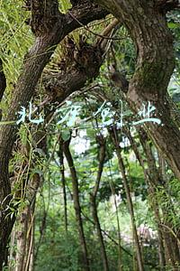 北方创业股票(7.2亿元收购的子公司未完成业绩承诺 京蓝科技诉讼之路有新进展)