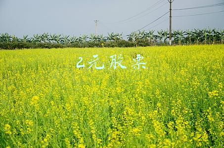 2元股票手续费多少钱(股票交易的交易费用你真的清楚吗？投资入门者必看)
