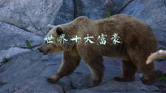 世界十大富豪