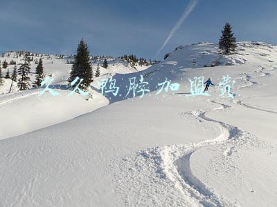 久久鸭脖加盟费