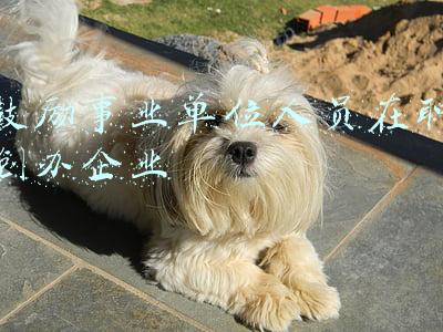 福建省鼓励事业单位人员在职创办企业(刚发布！福建此类事业单位取消编制，转为企业！涉收入、社保、人员安置……)