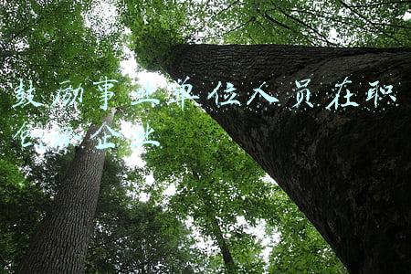 鼓励事业单位人员在职创办企业不用辞职(他们，跑赢了疫情)