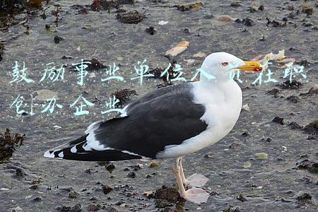鼓励事业单位人员在职创办企业