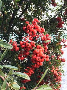 风险投资案例 风险投资案例