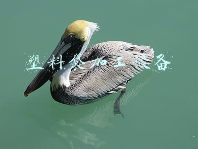 塑料袋加工设备