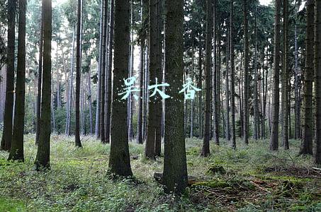 吴大香 丰大(仅两年！让一个垂死品种销量达到120万亩，丰大做到了)