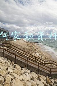 何家劲资料