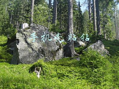 手机壳贴钻