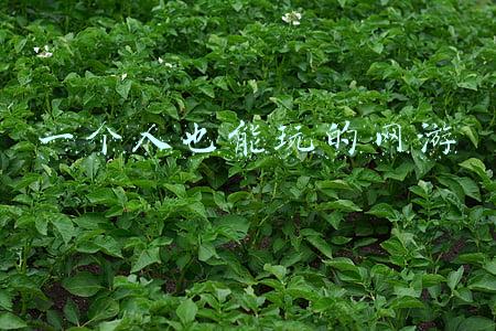 可以一个人玩的手游(推荐几款一个人也能玩的单机游戏)