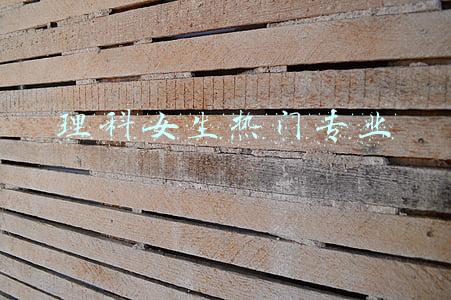 理科女生热门专业