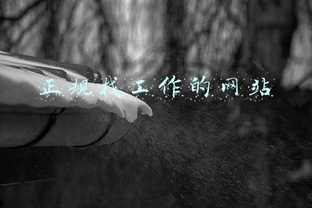 打字兼职正规网站(网上打字兼职 踩坑与推荐)