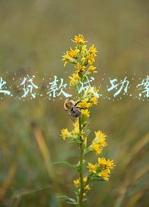 创业担保贷款案例(最高30万元！“创业担保贷”助力来厦台青创业梦)