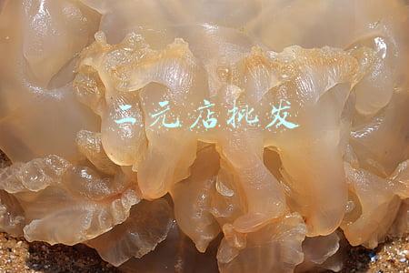 二元店批发货源(2元店，小商品行业的超高利润分析！)