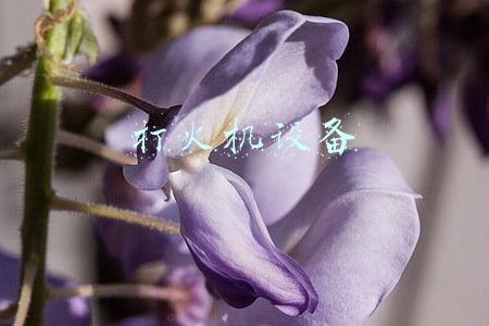 打火机设备