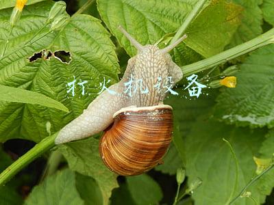 打火机设备