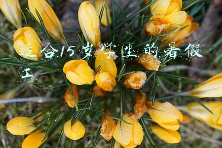 适合15岁学生的暑假工工资(放假通知！42天)