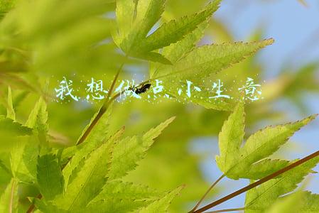 我想做点小生意