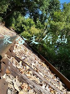 聚合支付码