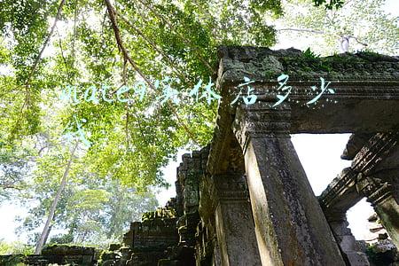 mate9是哪一年出的(mate9是哪一年出的多少钱)