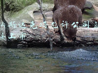 纳斯达克上市意味着什么(纳斯达克观点：什么是直接上市？)