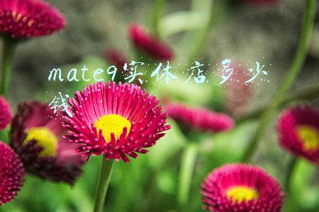 华为mate9多少钱-华为mate9多少钱一部