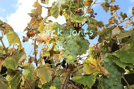 jackjones(2批次板鞋质量出问题 JACK JONES甲醛含量不合格)