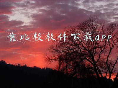 靠比较软件下载app不需要登录(远程控制软件实力大PK！ToDesk、向日葵和Teamviewer到底谁更强？)