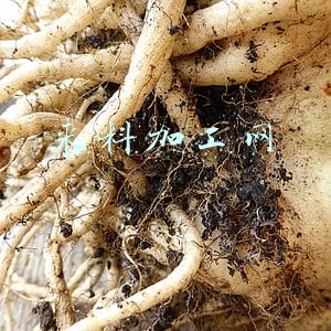 义乌来料加工网(义乌环线交通构筑共富三环)