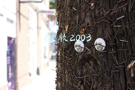 微软2003