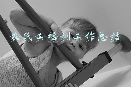 农民工培训工作总结