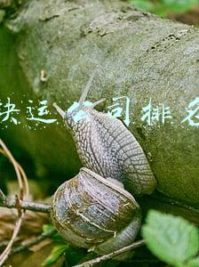 快运公司排名