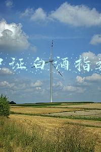 招商中证白酒指数基金代码(白酒还是猛！招商中证白酒或成全球最大中国股票基金)