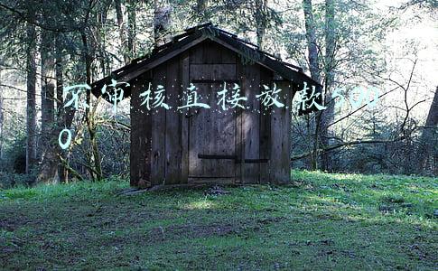 不审核直接放款5000