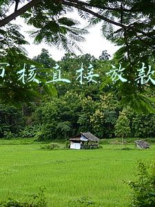 不审核直接放款5000