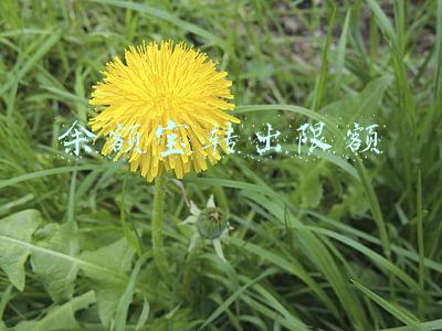 余额宝转出限额