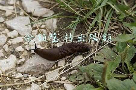 余额宝转出限额