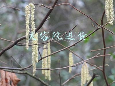 美容院进货