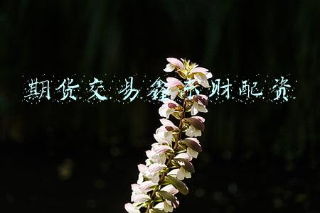 期货交易鑫东财配资