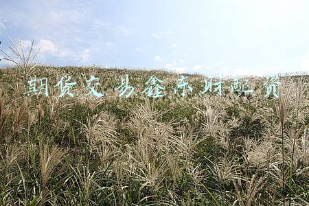 期货交易鑫东财配资