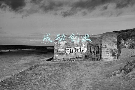 成功创业者的特征有哪些(企业家的七个特点)