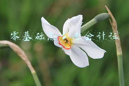 零基础怎么考会计证